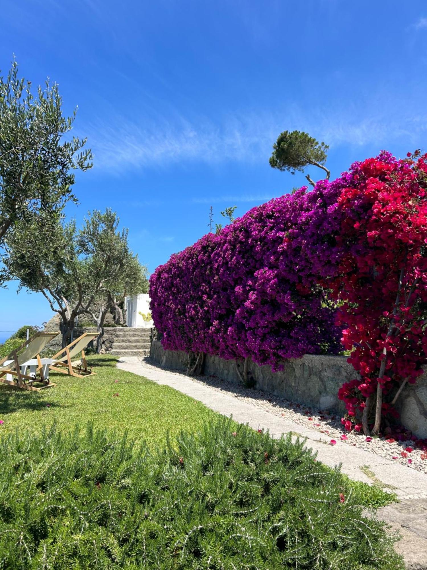 Villa Inarime Искья Экстерьер фото